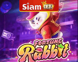 dicas para ganhar no fortune rabbit ícone